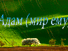 Адам (мир ему) 